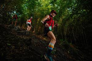 BIB: 
                            <button type="button" onclick="openModal(25099995)" class="btn btn-primary btn-sm float-right btn-popup" data-toggle="modal" data-target=".modal-high-quality">
                        <i class="fas fa-shopping-cart"></i> Add to Cart
                    </button>
                                            <button type="button" onclick="isThisMe(25099995, true)" class="btn btn-success btn-sm float-right btn-popup btn-isme hidden" data-toggle="tooltip" data-placement="bottom" title="นี่คือรูปของคุณใช่ไหม คลิกที่นี่เพื่อเอาเข้าอัลบั้ม">
                        <i class="fas fa-plus"></i> Add to album
                    </button>
                    <button type="button" onclick="isThisMe(25099995, false)" class="btn btn-warning btn-sm float-right btn-popup btn-isnotme hidden">
                        <i class="fas fa-ban"></i> Remove from album
                    </button>